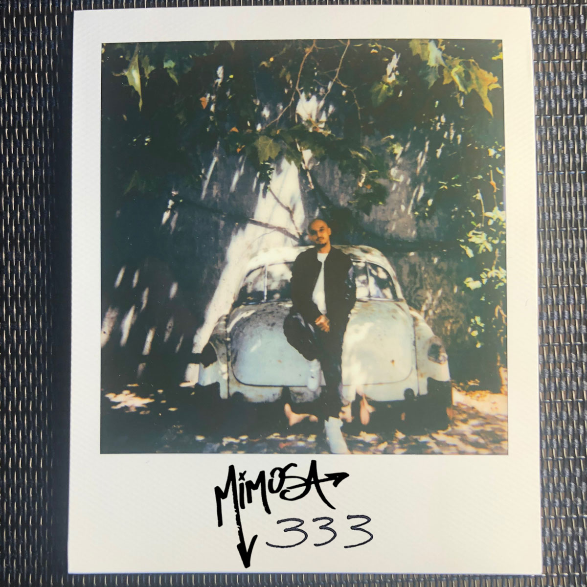 Mimosa - 333