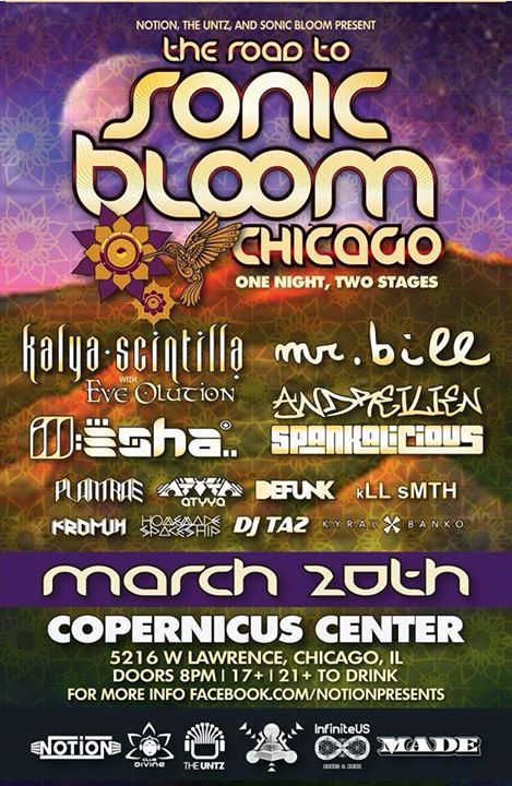 Road to Sonic Bloom - Chicago