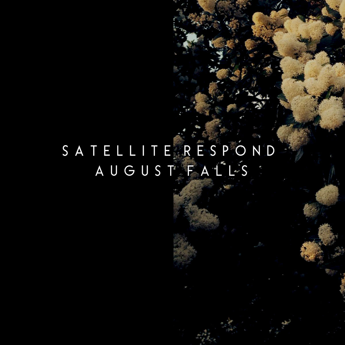 Satellite Respond - August Falls