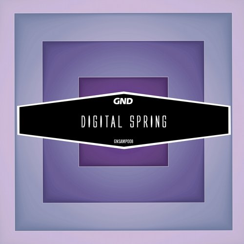 Album Art - Digital Spring
