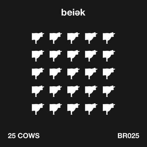Album Art - 25 Cows