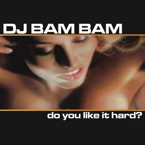 Album Art - Do You Like It Hard? (Continuous DJ Mix By DJ Bam Bam)