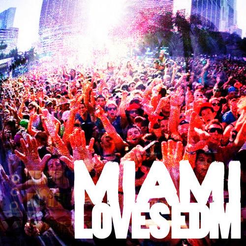Album Art - Miami Loves EDM