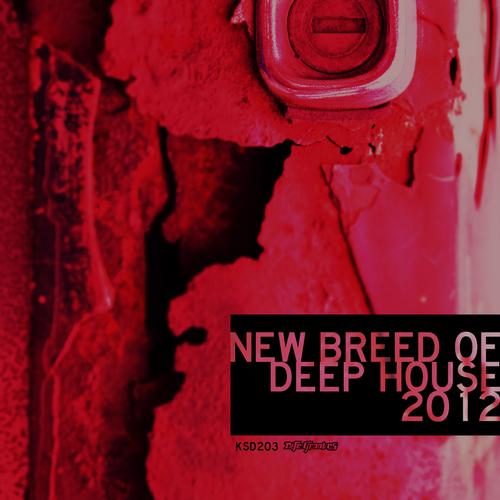 Album Art - New Breed Of Deep House 2012