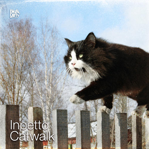 Album Art - Catwalk