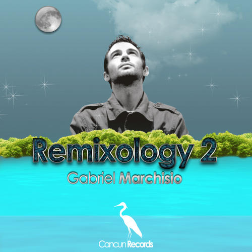 Album Art - Remixology Vol. 2