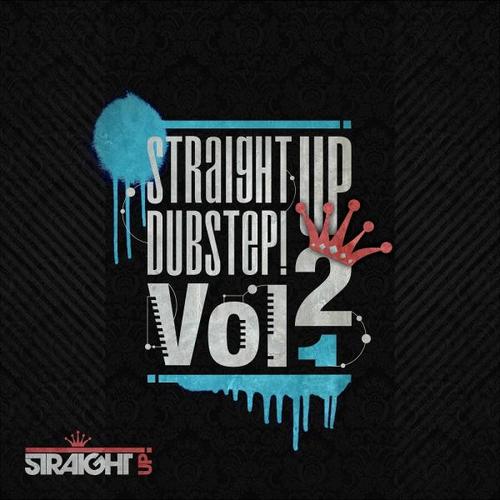 Album Art - Straight Up Dubstep! Volume 2