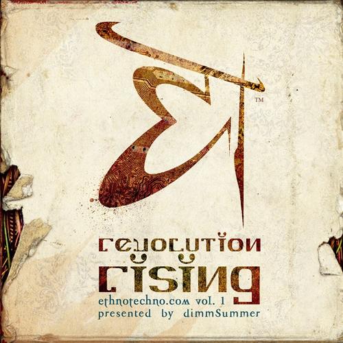 Album Art - Revolution Rising : Volume 1 Presented By Dimmsummer