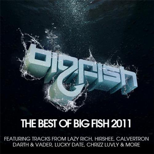 Album Art - Best Of Big Fish 2011