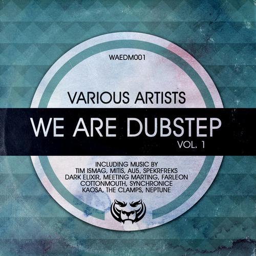 Album Art - We Are Dubstep Vol. 1