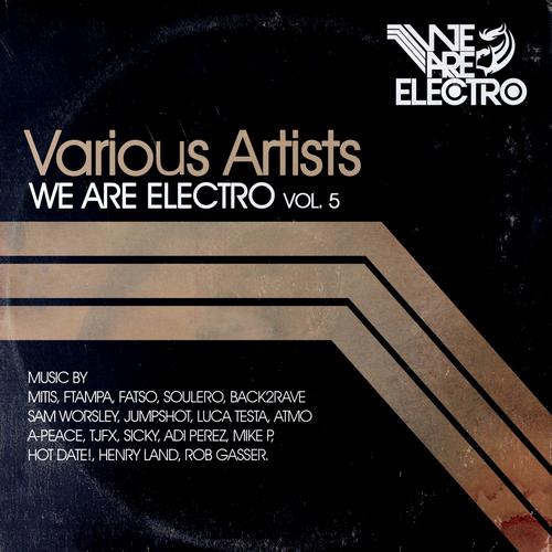 Album Art - We Are Electro Vol. 5