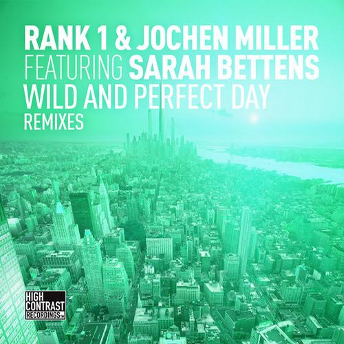 Album Art - Wild and Perfect Day (The Remixes)