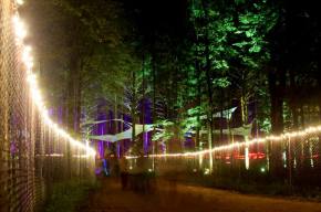Electric Forest Festival Announces Initial Lineup, Fans Crash Website Preview