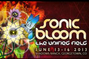 Sonic Bloom 2013 announces 2nd wave lineup Preview