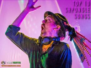 Top 10 Shpongle Songs Preview