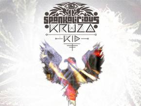Spankalicious x Kruza Kid - LSDMTHC Vol 1 [FREE DOWNLOAD] Preview