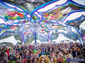 Top 10 Motion Notion 2015 Artists Preview