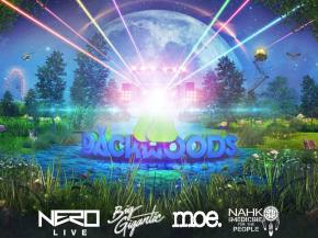 NERO, Filibusta, Dreamers Delight & more join Backwoods 2016 lineup Preview
