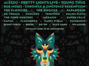 Euphoria does something different with its 2017 lineup. Preview