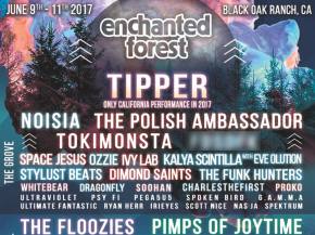 Tipper, Polish Ambassador, Kalya headline Enchanted Forest Gathering Preview